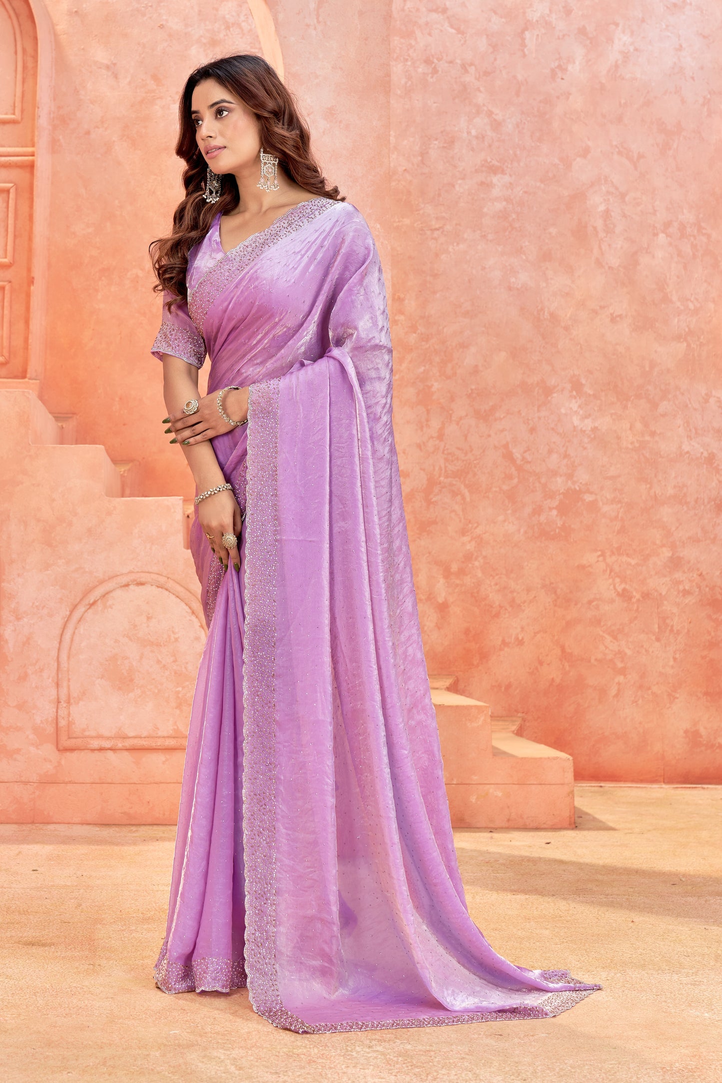 Shimmer Saree with Embellished Border & Designer Blouse(Unstitched)
