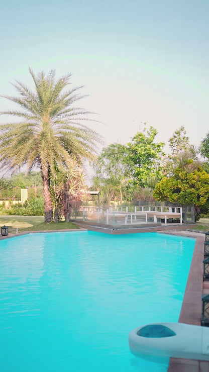 Yellow Embroidered Lehenga Choli with Purple Zari Dupatta | Designer Wedding & Partywear Set