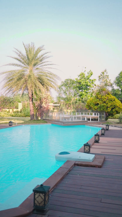 Elegant Black Organza Saree with Hand-Embroidered Floral Border | Premium Party Wear Saree & Matching Blouse(Unstitched)